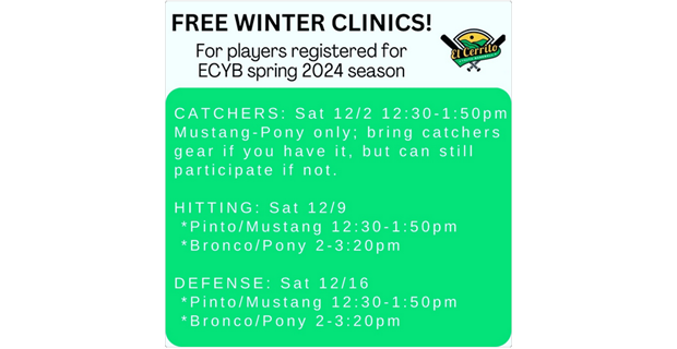 Winter Clinics!
